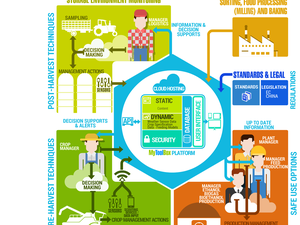 BIOMIN commits to new project aimed at 3B in EU crop losses due to mycotoxins