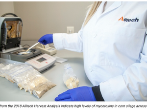High levels of mycotoxins detected across the U.S. in Alltech's 2018 Harvest Analysis