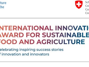 FAO calls for International Innovation Award for sustainable food and agriculture