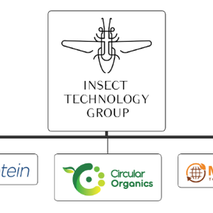 Circular Organics acquires Belgian insect company Millibeter
