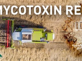 Biomin World Mycotoxin Survey 2019 Webinar