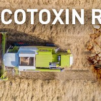 Biomin World Mycotoxin Survey 2019 Webinar