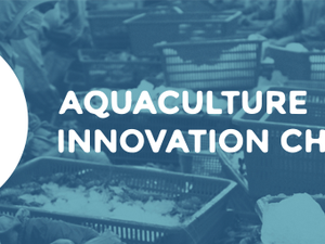 Aquaculture Innovation Challenge last call