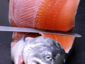 Corbion's AlgaPrimeTM DHA and BioMar improving omega-3 content of farmed fish