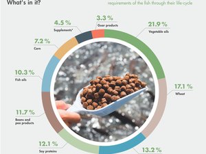 Mowi aims for self-sufficiency with their own feed