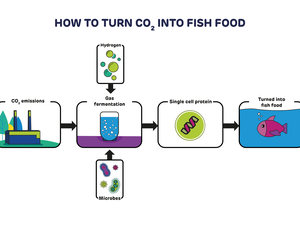 New carbon capture technology to produce protein for aquafeed