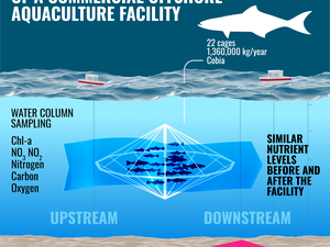 Researchers monitor nutrient footprint from offshore aquaculture