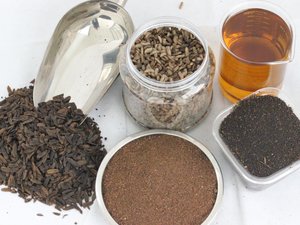 Nutrition Technologies raises funding to set up the largest insect protein farm in SE Asia