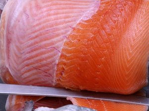 Salmon Group adopts BioMar's algae-based feed