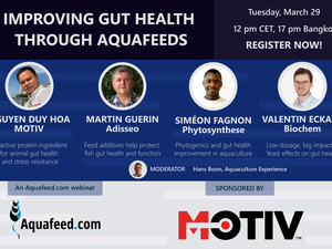 Registration open for Improving Gut Health through Aquafeeds webinar