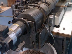 190507+Thailand+Extrusion+Training+News+Item_2