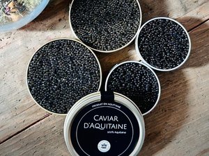 2_Les-missions-Association_Caviar-Aquitaine