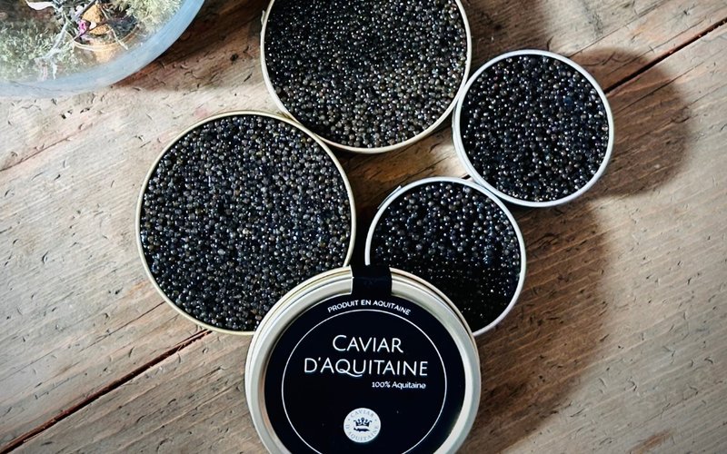 2_Les-missions-Association_Caviar-Aquitaine