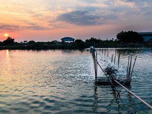 AdobeStock_525220622
