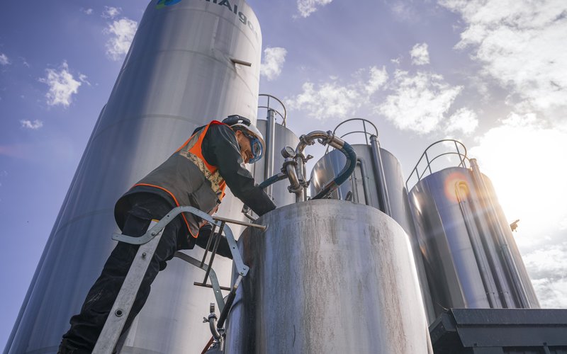 An employee checks the fermentation process in the 1000L bioreactors, next to the 30,000L bioreactors at MiAlgae's Commercial Demonstrator site.