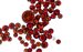 Astaxanthin_shutterstock_2268054051
