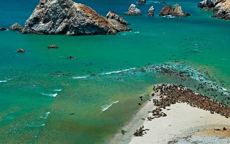 Avistamiento de fauna en Paracas - Promperu
