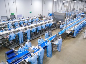 C.Vale - linha de produção peixe