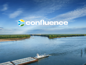 COnfluence