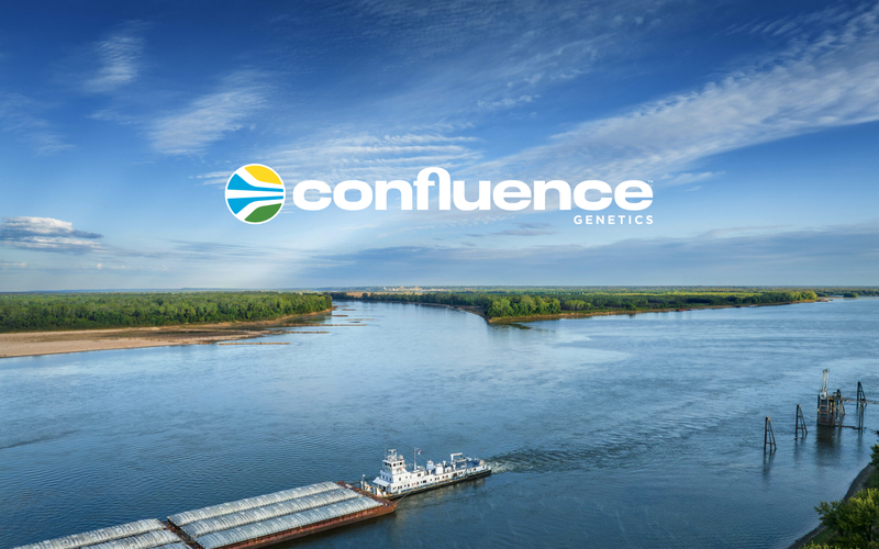 COnfluence