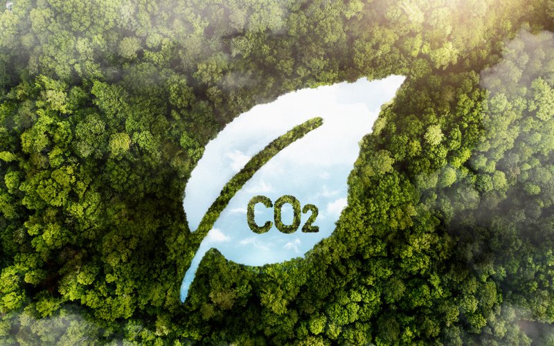 Carbon footprint_Image by Freepik