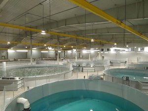 Cooke subsidiary acquires AquaBounty Canada Inc. on PEI