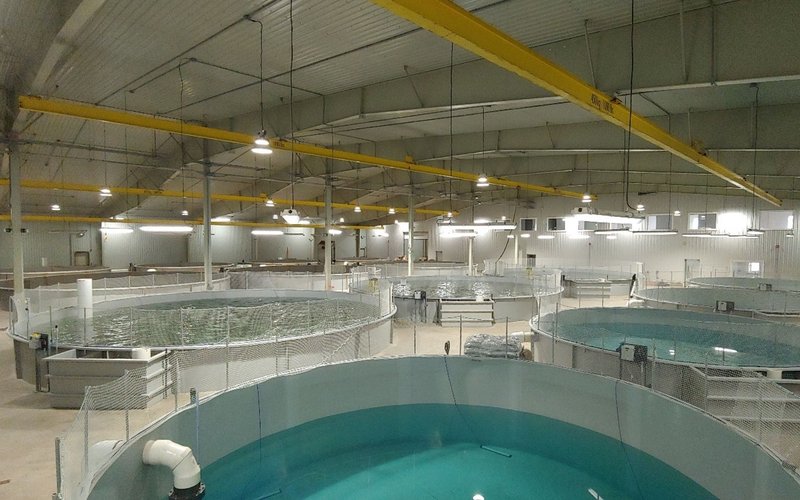 Cooke subsidiary acquires AquaBounty Canada Inc. on PEI