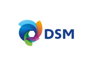 DSM2