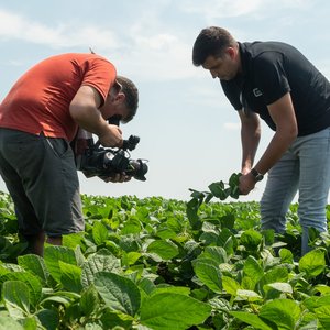 Donau_Field-day-in-Lugovo-Serbia-scaled