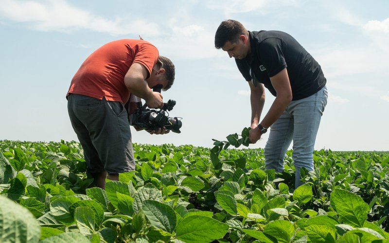 Donau_Field-day-in-Lugovo-Serbia-scaled