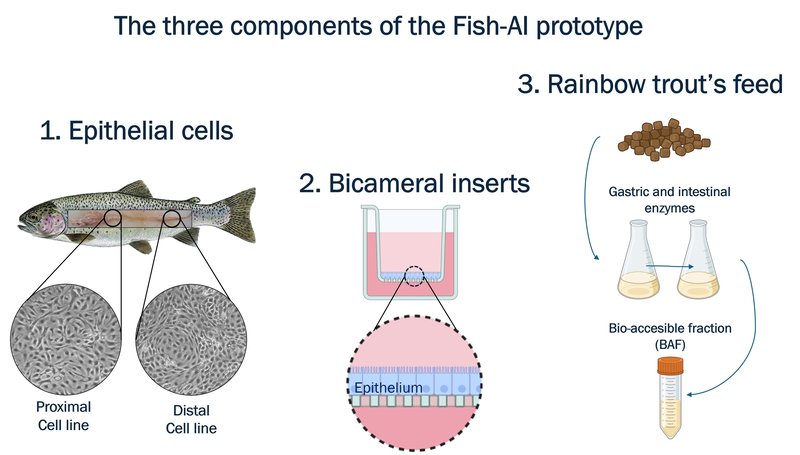 Fig. 1 FishAI prototype&#x27;s components