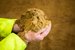 Fishmeal in hand