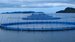 Grieg Seafood Newfoundland