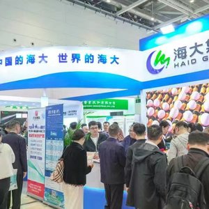 Haid Group