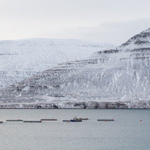 ISAFJORDUR_ICELAND_aquaculture_farm_outside_Isafjordur_westfjords
