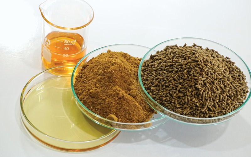 Ingredients_shutterstock_2371647321