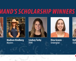 LANNA_Scholarship_Winners_Post_1200x639