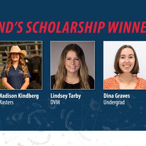 LANNA_Scholarship_Winners_Post_1200x639