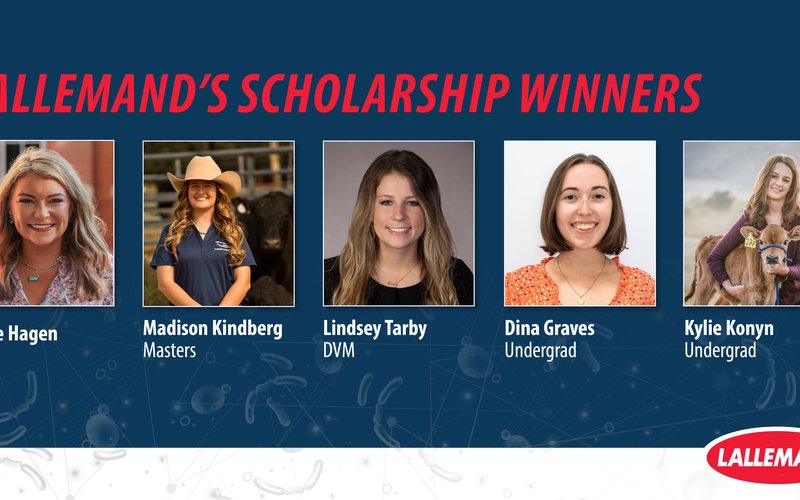 LANNA_Scholarship_Winners_Post_1200x639