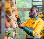Luther Quarshie Agri Mecarb BSF