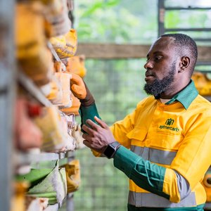 Luther Quarshie Agri Mecarb BSF