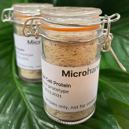 MicroHarvest protein ingredient