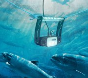 NEW-Falcon-G2-Underwater_Wide_2025_2400px