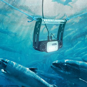NEW-Falcon-G2-Underwater_Wide_2025_2400px