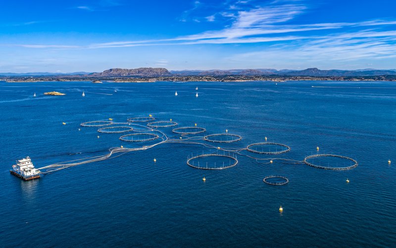 Offshore Fish Farm