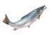 Salmon_shutterstock_154424327