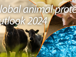 Screenshot 2023-12-01 at 18-29-35 Global animal protein outlook 2024 Adapting to structural changes to sustain success
