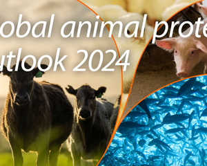 Screenshot 2023-12-01 at 18-29-35 Global animal protein outlook 2024 Adapting to structural changes to sustain success