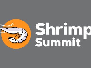 Shimp summit