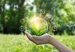 Sustainability_shutterstock_1606190653